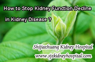 How to Stop Kidney Function Decline in Kidney Disease