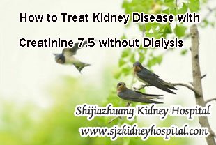 How to Treat Kidney Disease with Creatinine 7.5 without Dialysis