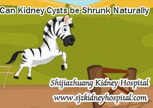 Kidney Cysts Treatment,Kidney Cysts,Can Kidney Cysts be Shrunk Naturally