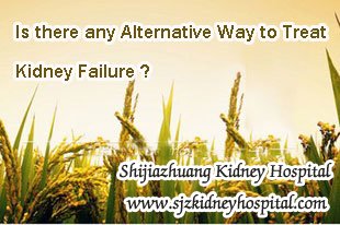 Is there any Alternative Way to Treat Kidney Failure