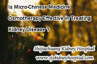 Is Micro-Chinese Medicine Osmotherapy Effective in Treating Kidney Disease