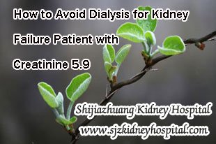 How to Avoid Dialysis for Kidney Failure Patient with Creatinine 5.9