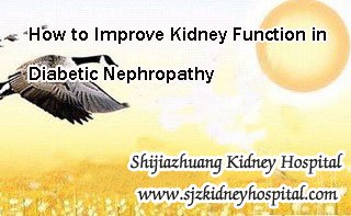 How to Improve Kidney Function in Diabetic Nephropathy