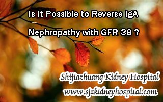 Is It Possible to Reverse IgA Nephropathy with GFR 38