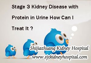 Stage 3 Kidney Disease with Protein in Urine How Can I Treat It