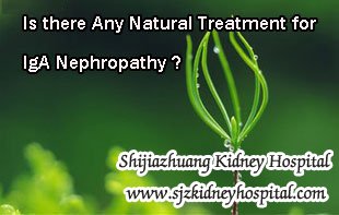 Is there Any Natural Treatment for IgA Nephropathy