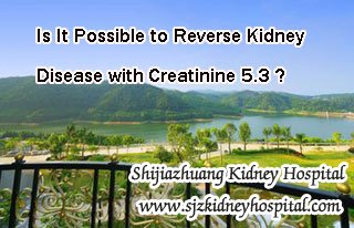 Is It Possible to Reverse Kidney Disease with Creatinine 5.3