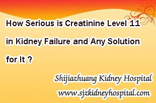 How Serious is Creatinine Level 11 in Kidney Failure and Any Solution for It