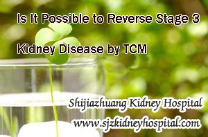 Is It Possible to Reverse Stage 3 Kidney Disease by TCM