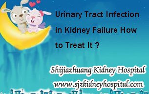 Urinary Tract Infection in Kidney Failure How to Treat It