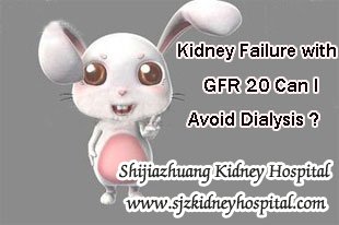 Kidney Failure with GFR 20 Can I Avoid Dialysis