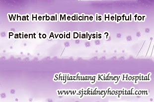 What Herbal Medicine is Helpful for Patient to Avoid Dialysis