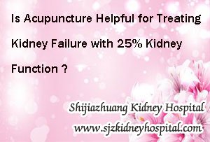 Is Acupuncture Helpful for Treating Kidney Failure with 25% Kidney Function