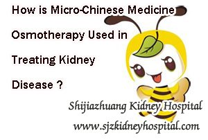 How is Micro-Chinese Medicine Osmotherapy Used in Treating Kidney Disease