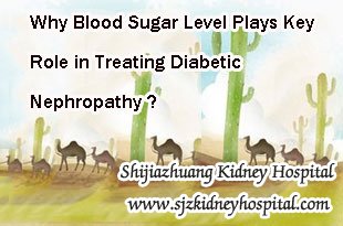 Why Blood Sugar Level Plays Key Role in Treating Diabetic Nephropathy