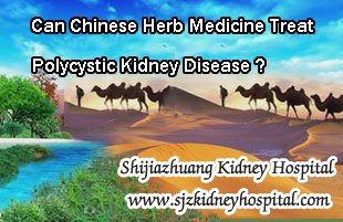 Can Chinese Herb Medicine Treat Polycystic Kidney Disease