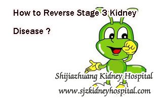 CKD treatment,Stage 3 Kidney Disease,Kidney Disease