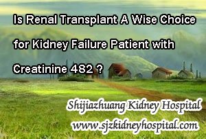 Is Renal Transplant A Wise Choice for Kidney Failure Patient with Creatinine 482