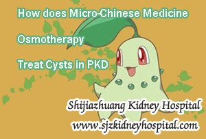 How does Micro-Chinese Medicine Osmotherapy Treat Cysts in PKD