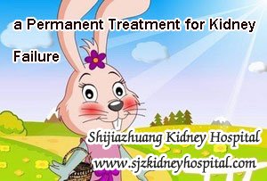 a Permanent Treatment for Kidney Failure