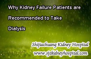 Why Kidney Failure Patients are Recommended to Take Dialysis
