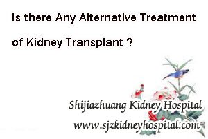 Kidney Failure Treatment,Kidney Transplant,Alternative Treatment of Kidney Transplant