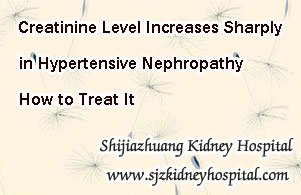 Creatinine Level Increases Sharply in Hypertensive Nephropathy How to Treat It