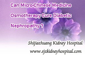 Can Micro-Chinese Medicine Osmotherapy Cure Diabetic Nephropathy
