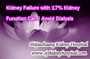 Kidney Failure with 17% Kidney Function Can I Avoid Dialysis