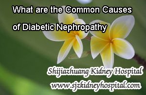 What are the Common Causes of Diabetic Nephropathy