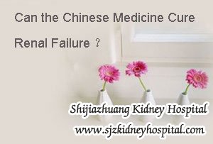 Can the Chinese Medicine Cure Renal Failure