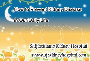 How to Prevent Kidney Disease in Our Daily Life