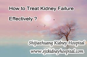 How to Treat Kidney Failure Effectively