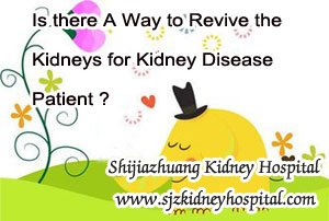 Is there A Way to Revive the Kidneys for Kidney Disease Patient
