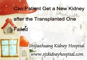 Can Patient Get a New Kidney after the Transplanted One Failed