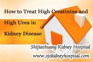 How to Treat High Creatinine and High Urea in Kidney Disease