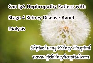 Can IgA Nephropathy Patient with Stage 4 Kidney Disease Avoid Dialysis