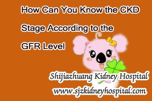 How Can You Know the CKD Stage According to the GFR Level