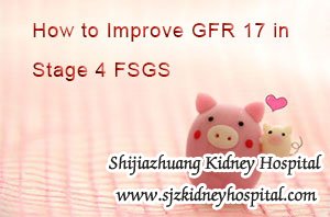 FSGS Treatment, GFR, Stage 4 FSGS