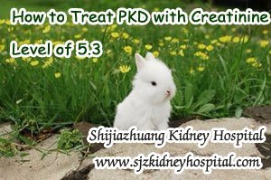 How to Treat PKD with Creatinine Level of 5.3