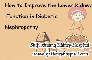 How to Improve the Lower Kidney Function in Diabetic Nephropathy