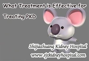What Treatment is Effective for Treating PKD
