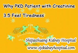 Why PKD Patient with Creatinine 3.5 Feel Tiredness