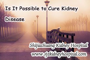 Is It Possible to Cure Kidney Disease