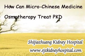 How Can Micro-Chinese Medicine Osmotherapy Treat PKD
