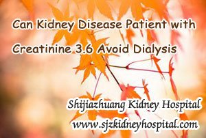 Can Kidney Disease Patient with Creatinine 3.6 Avoid Dialysis