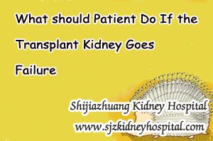 What should Patient Do If the Transplant Kidney Goes Failure