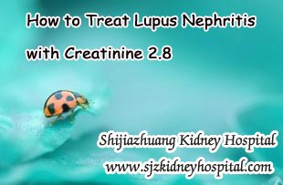 How to Treat Lupus Nephritis with Creatinine 2.8