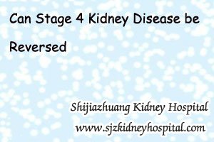 Can Stage 4 Kidney Disease be Reversed