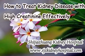 How to Treat Kidney Disease with High Creatinine Effectively